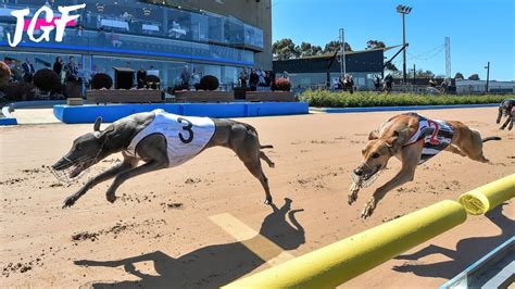 irish horse racing results|Irish Greyhound Derby .